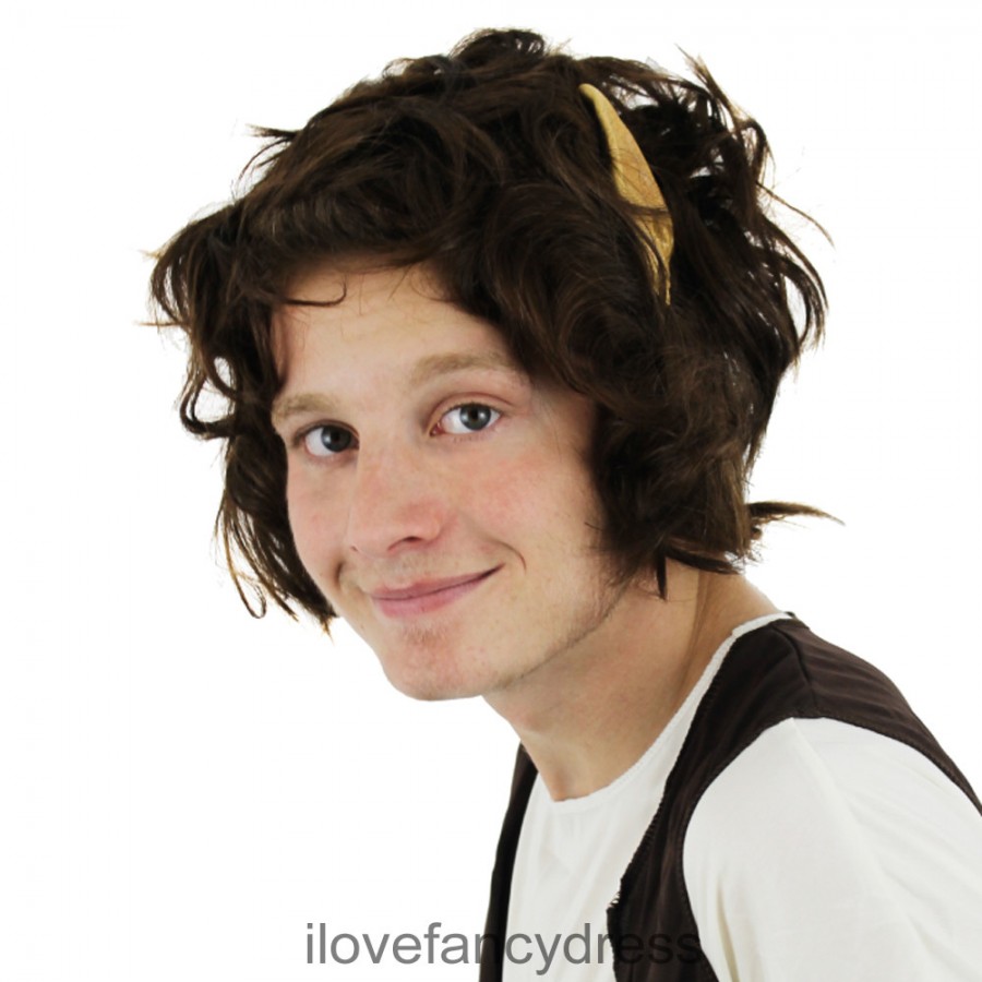 Brown <b>Mythical Man</b> Wig with Ears - FRODO_HOBBIT_WIG-900x900