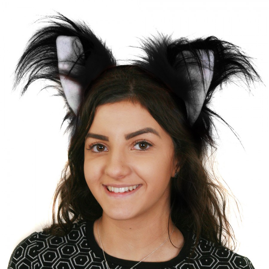 Download Cat Ears on Headband