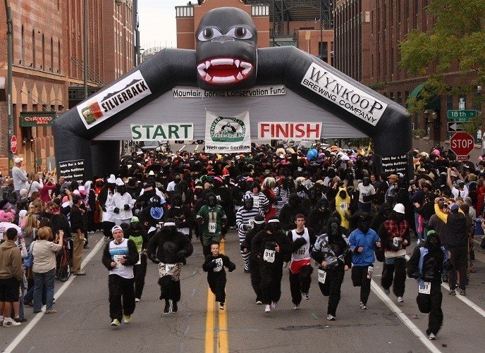 Starting line of Gorilla run