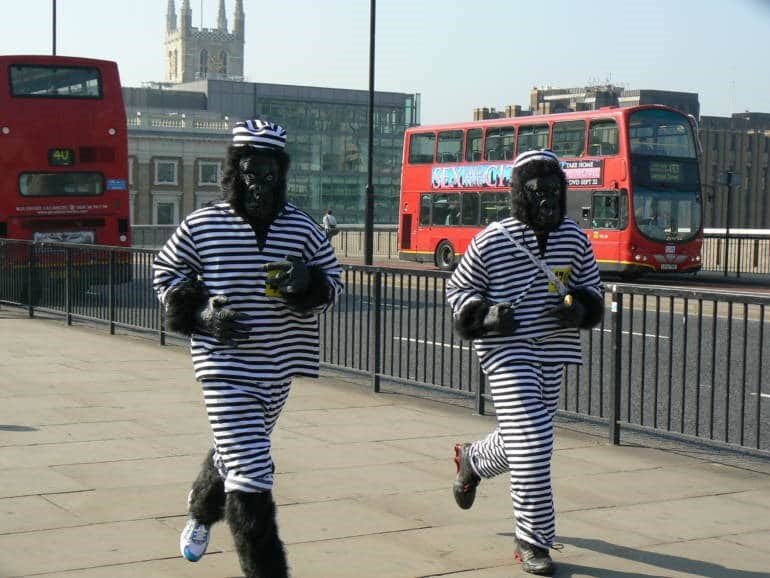 Prisoner Gorillas Running Race