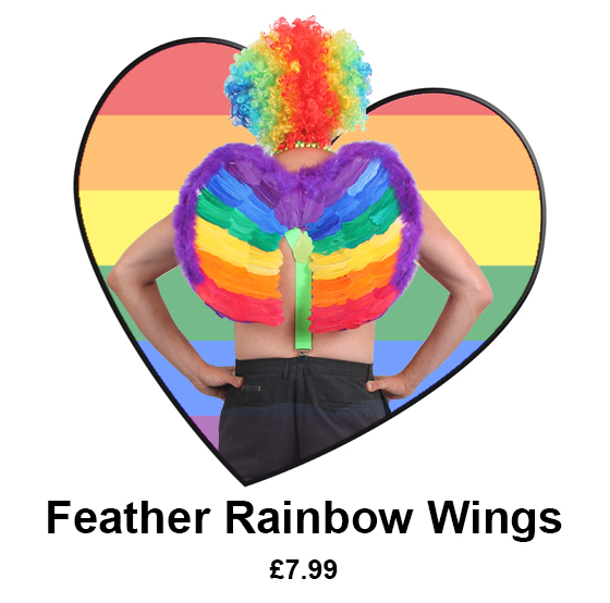 rainbow feather wings £7.99